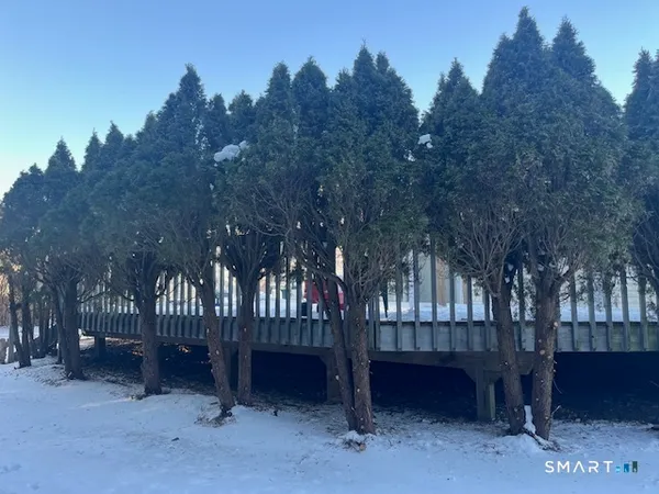 a view of a bench in a yard