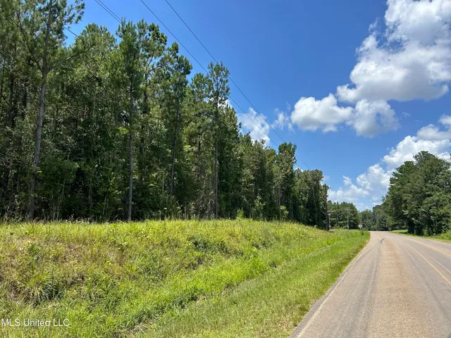 $20,000 | Tbd Tbd Highway, Ruth, MS 39662