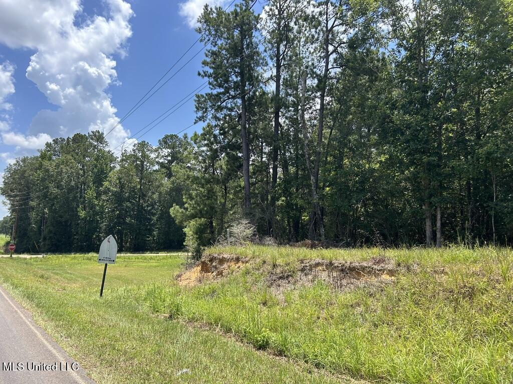 Tbd Tbd Highway Ruth, MS 39662 - Photo 2 of 10 424F2F98-5955-4A92-ABFC-B67B80E085DA_1_1