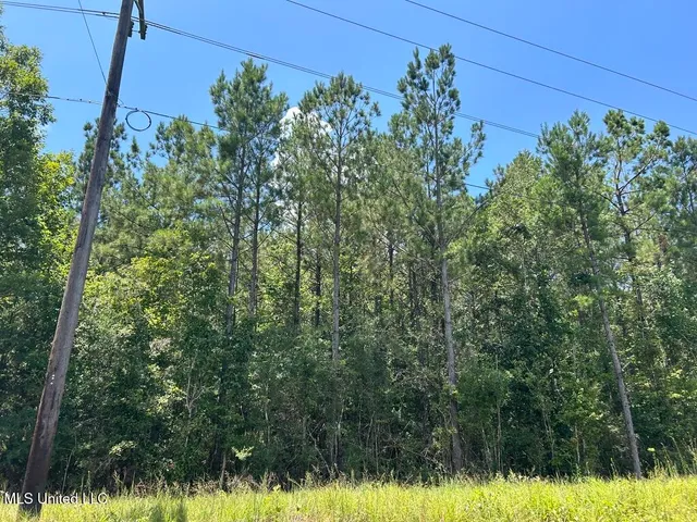 $20,000 | Tbd Tbd Highway, Ruth, MS 39662