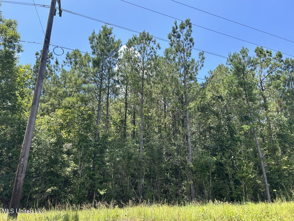 Tbd Tbd Highway Ruth, MS 39662 - Photo 3 of 10 D0933AE6-946F-469F-8F23-8D1391AA8ED4_1_1