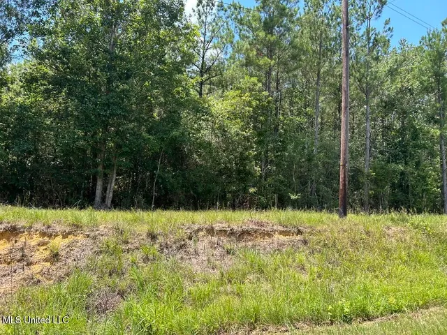 $20,000 | Tbd Tbd Highway, Ruth, MS 39662