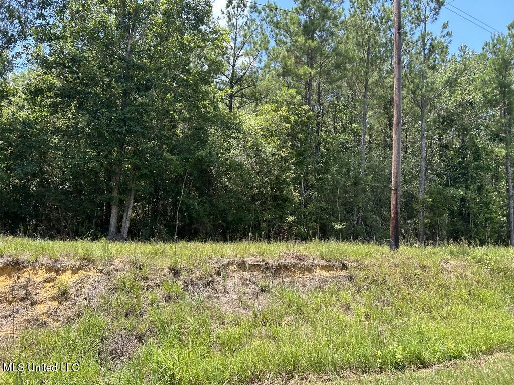 Tbd Tbd Highway Ruth, MS 39662 - Photo 4 of 10 4C7A0CA2-B6EC-4325-B976-2883E8AA6DFF_1_1