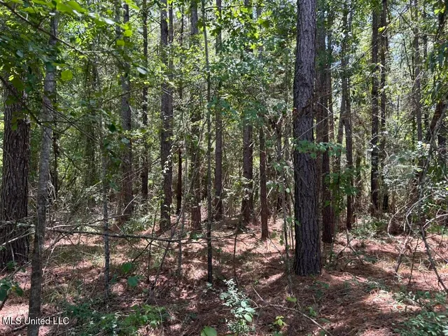 $20,000 | Tbd Tbd Highway, Ruth, MS 39662