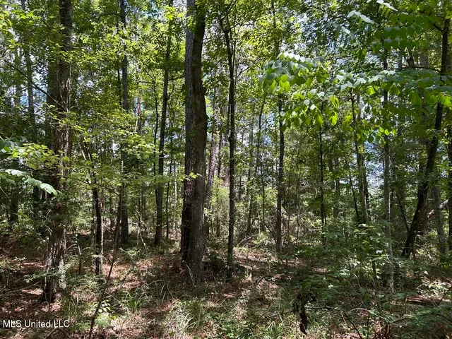 $20,000 | Tbd Tbd Highway, Ruth, MS 39662