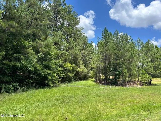 $20,000 | Tbd Tbd Highway, Ruth, MS 39662