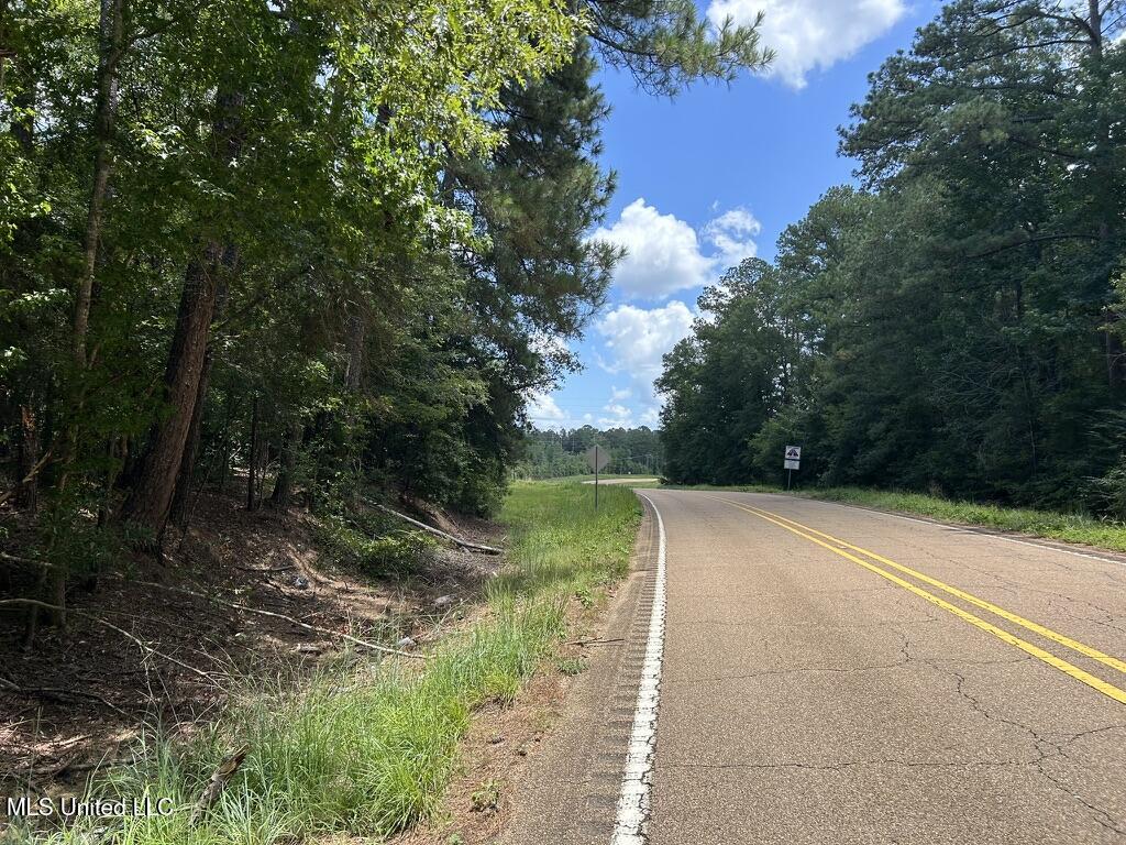 Tbd Tbd Highway Ruth, MS 39662 - Photo 8 of 10 E4CA210B-FC48-486A-B917-C82E343E89A2_1_1