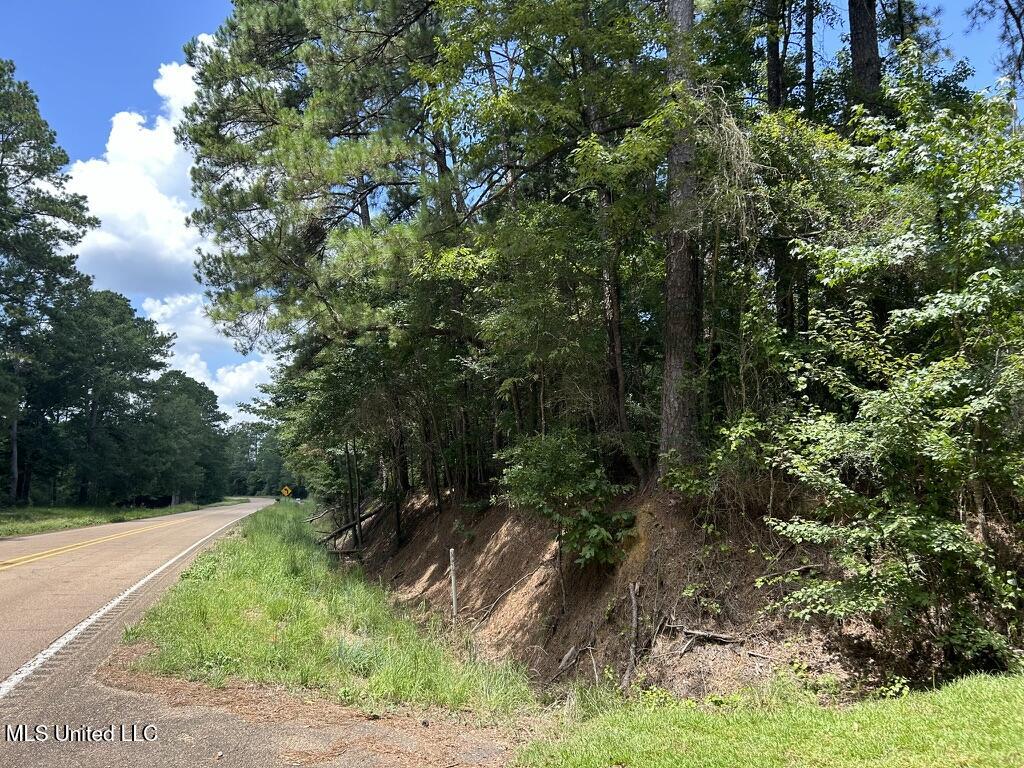 Tbd Tbd Highway Ruth, MS 39662 - Photo 9 of 10 724E52D1-B3B2-4FE5-AE40-CDE10C87F2E2_1_1