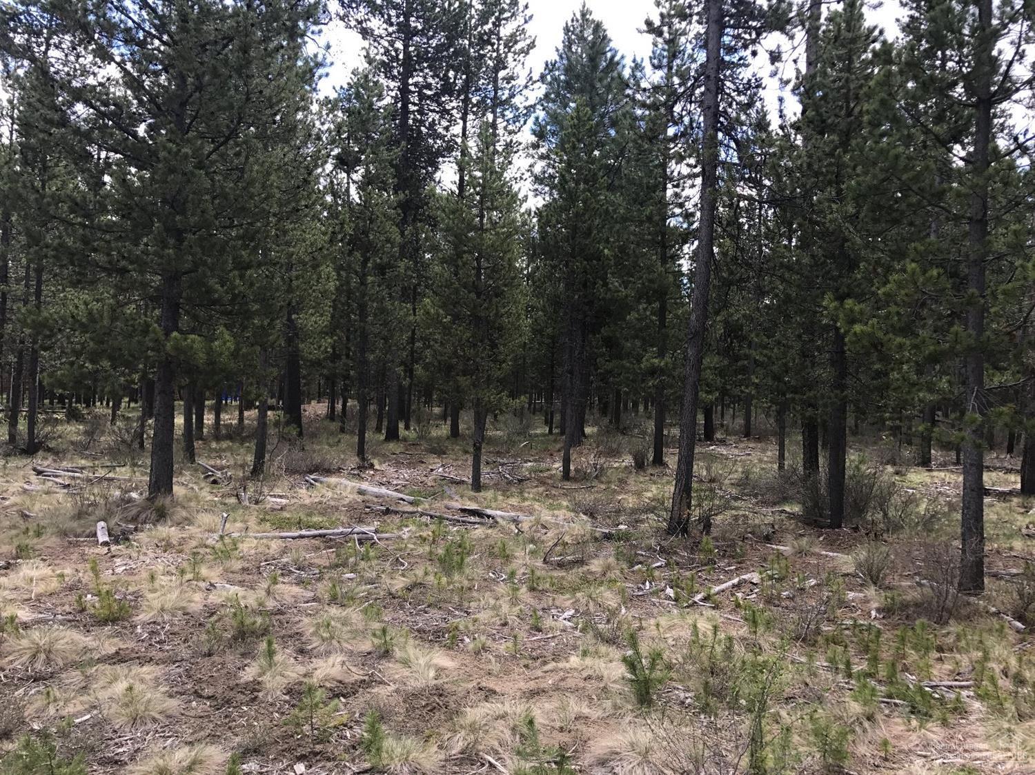 17073 Hermosa Road Bend, OR 97707 - Photo 2 of 3 Additional Photo