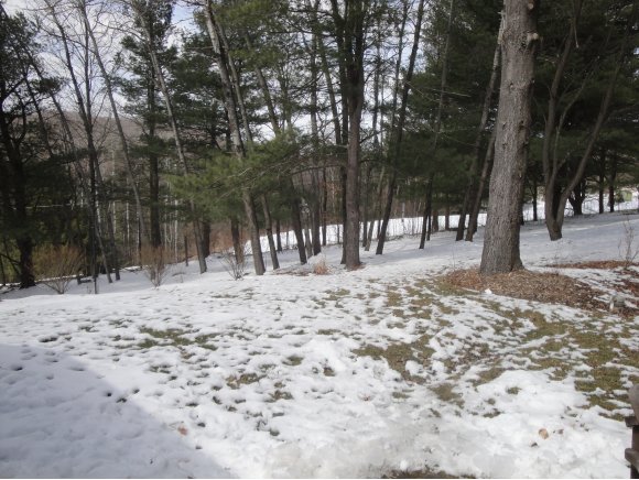9 Palmer Road Binghamton, NY 13901 - Photo 22 of 22 Gallery Image 22