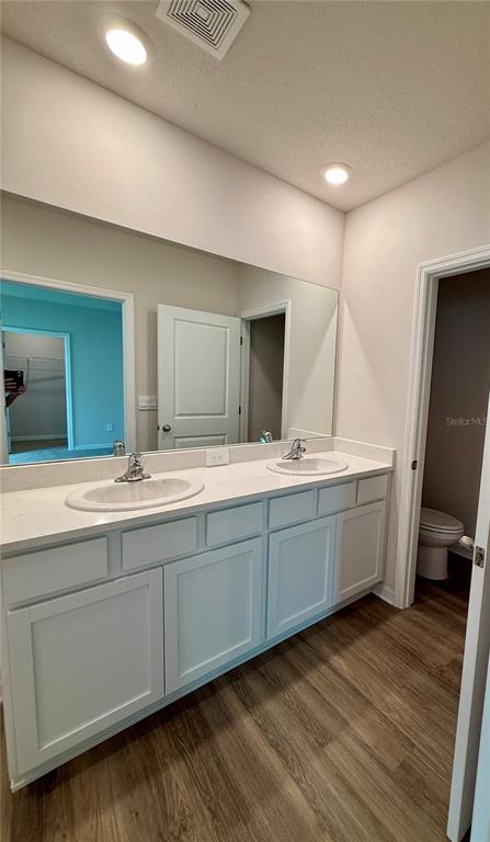 3222 Bitterroot Lane Bradenton, FL 34211 - Photo 21 of 34 a bathroom with a sink mirror and a toilet