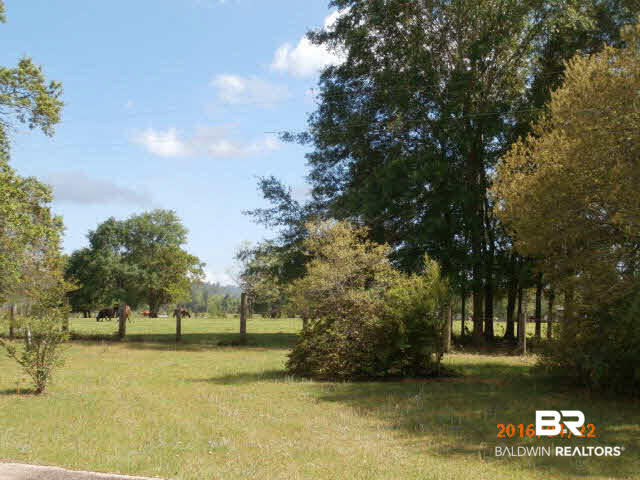 19060 Hunting Club Road Seminole, AL 36574 - Photo 17 of 18 Backyard