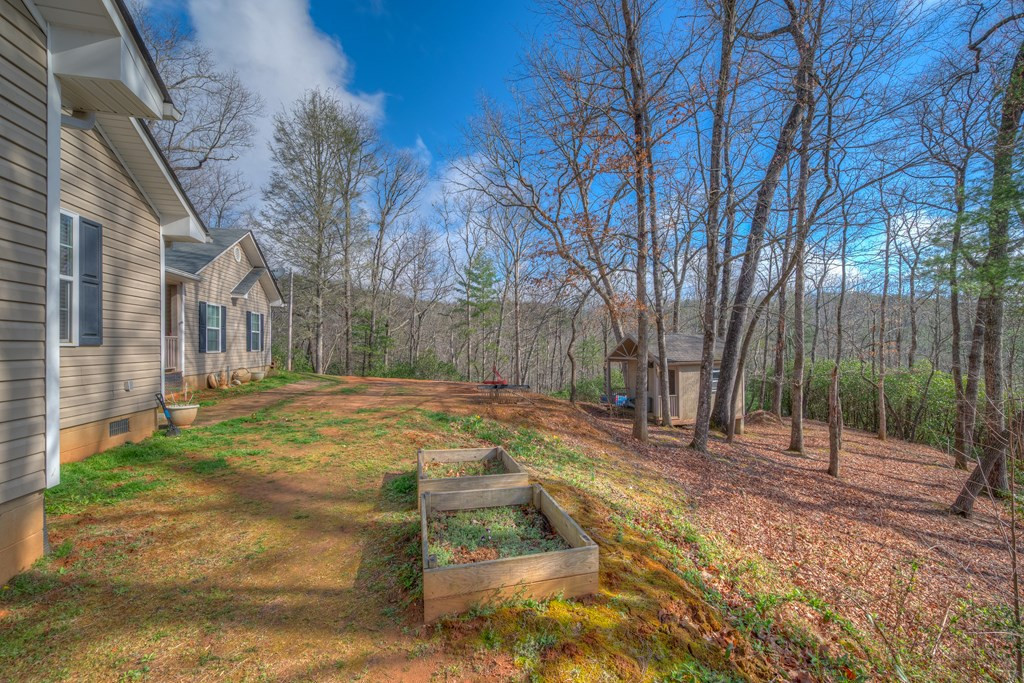 118 Hothouse Crk Road Murphy, NC 28906 - Photo 4 of 41