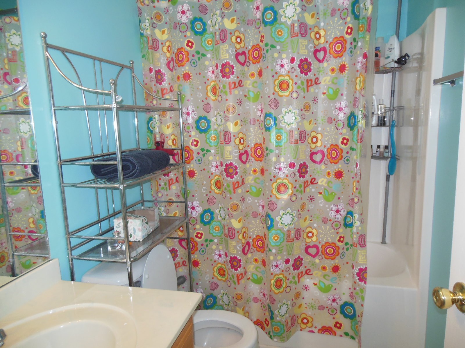 321 Arabian Lane Springfield, TN 37172 - Photo 13 of 23 a bathroom with a sink toilet and shower curtain