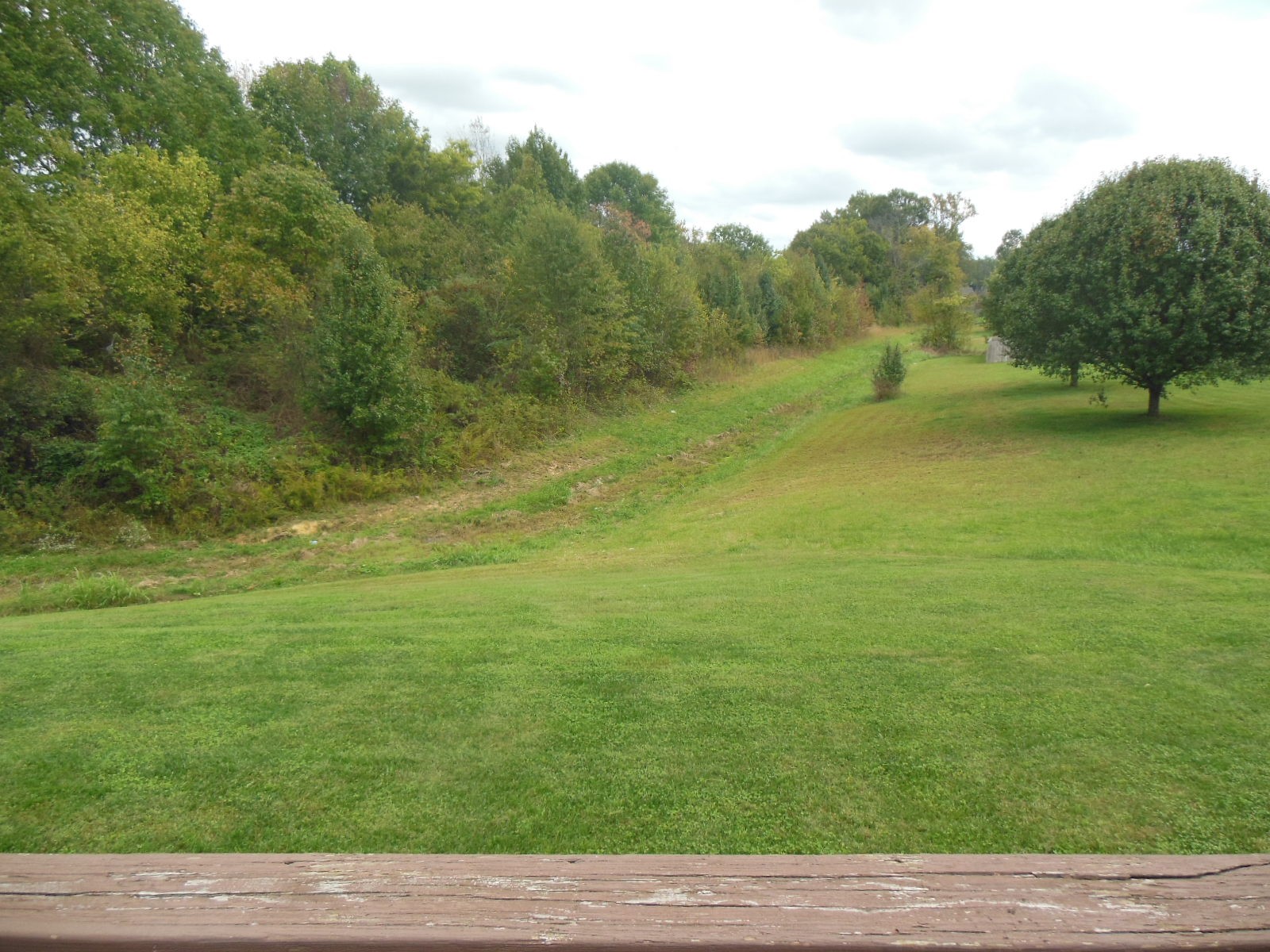 321 Arabian Lane Springfield, TN 37172 - Photo 16 of 23 a view of an outdoor space and a yard