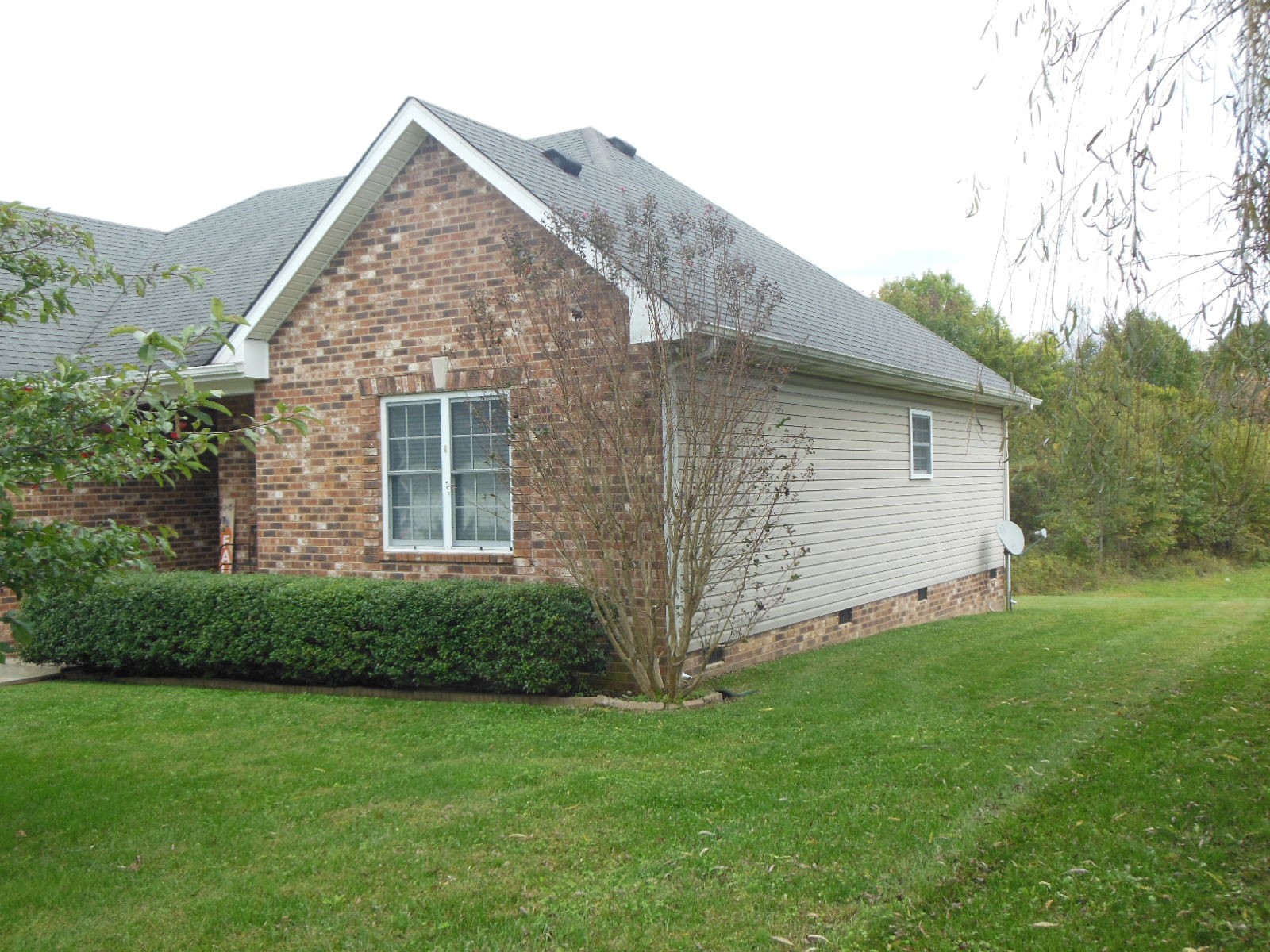 321 Arabian Lane Springfield, TN 37172 - Photo 20 of 23 a view of backyard of house