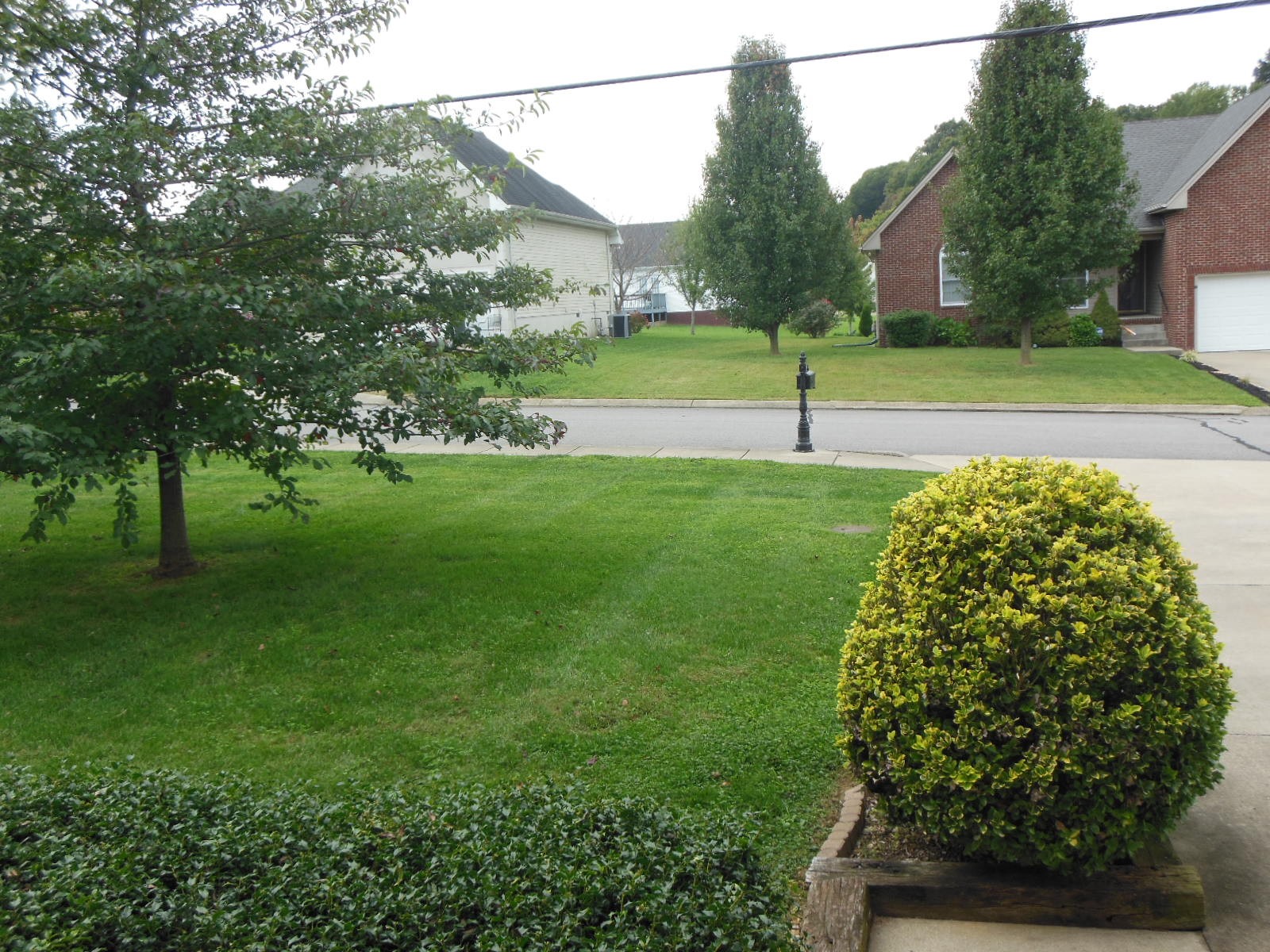321 Arabian Lane Springfield, TN 37172 - Photo 23 of 23 a view of a garden with a tree