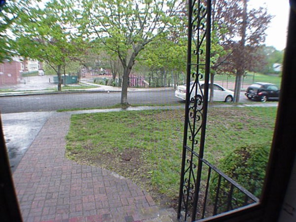 33 Stowecroft Road Arlington, MA 02474 - Photo 14 of 30 a view of a yard with large trees