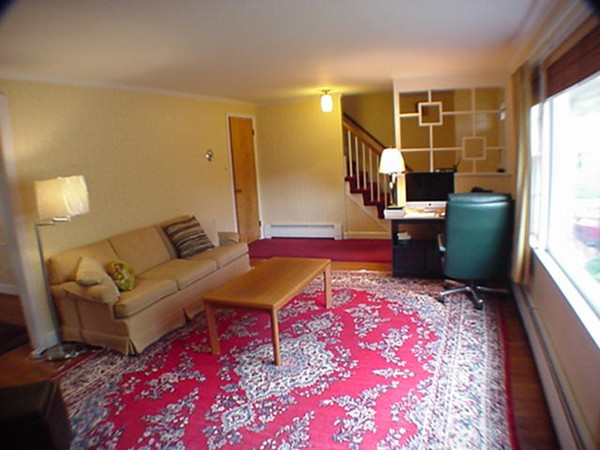 33 Stowecroft Road Arlington, MA 02474 - Photo 2 of 30 a living room with furniture and a rug