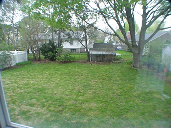 33 Stowecroft Road Arlington, MA 02474 - Photo 6 of 30 a view of a backyard with a large tree