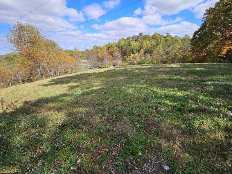 6033 Red Hill Road Livingston, KY 40445 - Photo 8 of 43 5