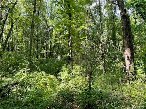 1 North Milford Road Highland, MI 48357 - Photo 11 of 11