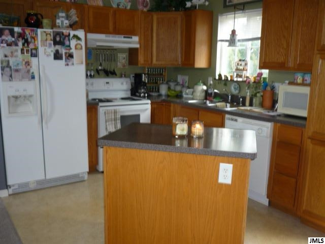1306 Catsyl Road, Unit 3 Jackson, MI 49203 - Photo 9 of 25 Photo 9