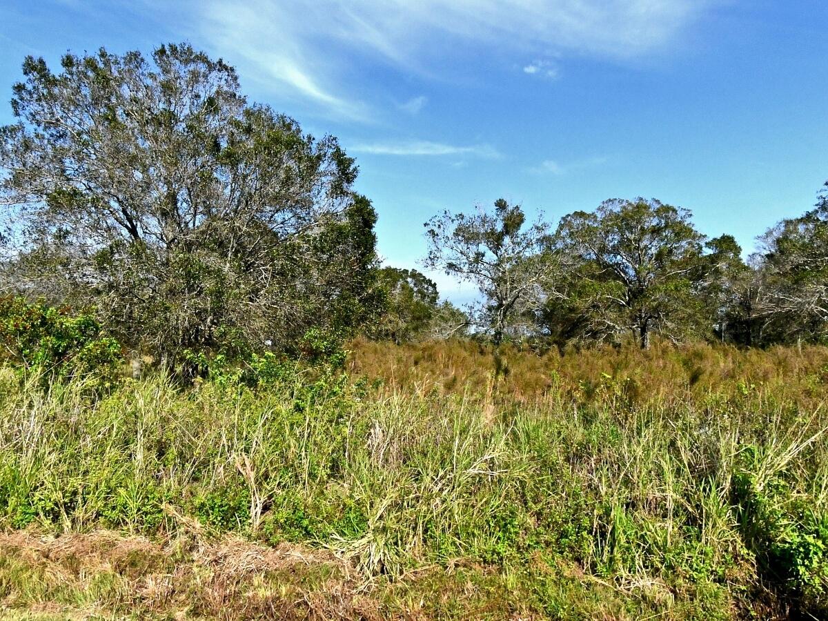 Tbd West Midway Road Fort Pierce, FL 34945 - Photo 3 of 6 LOT7