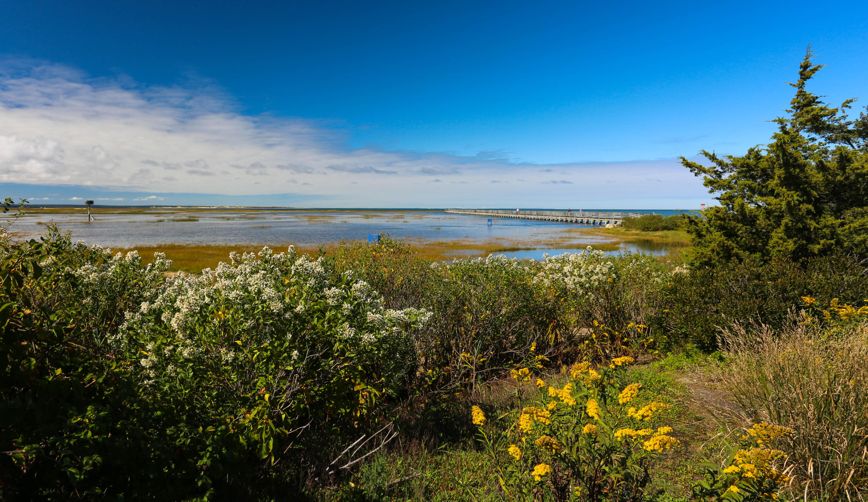 64 Taft Road West Yarmouth, MA 02673 - Photo 18 of 21 a view of a pathway both side of river next to a yard
