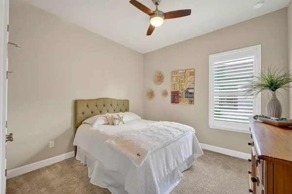 a bathroom with a shower and a toilet