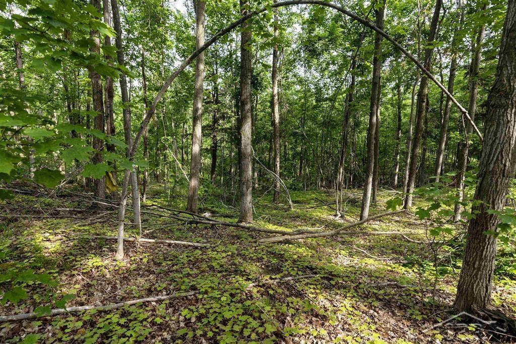 Vl McCoy Road Gaylord, MI 49735 - Photo 19 of 19