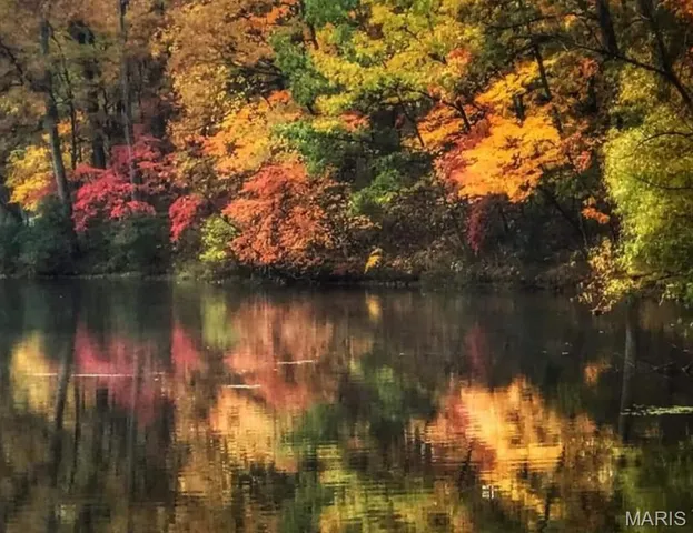 $55,000 | 25845 Lake Cardinal Lane, Warrenton, MO 63383