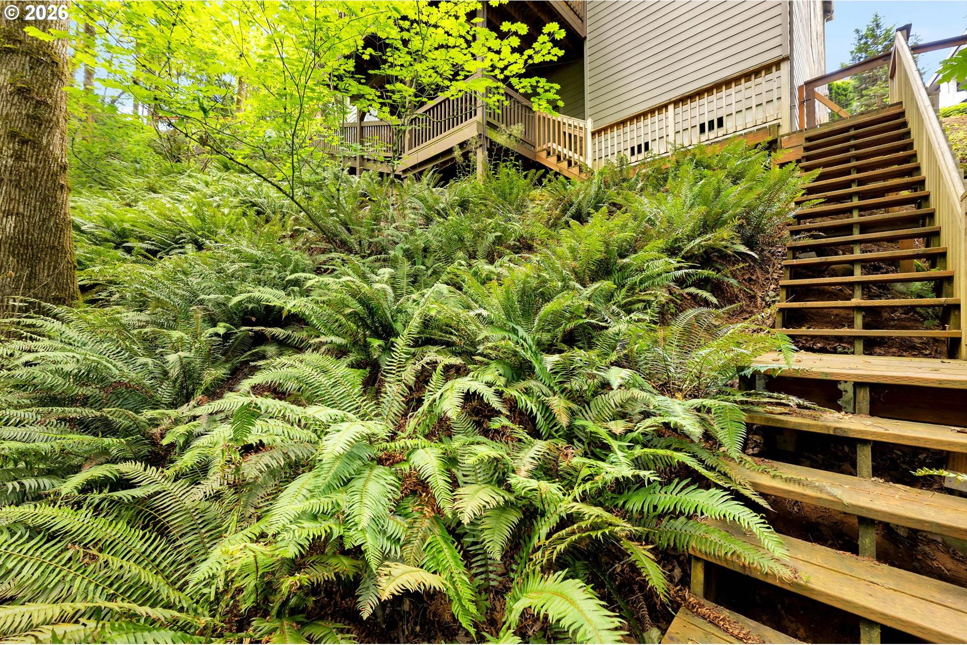 3806 Northwest Oregon Street Camas, WA 98607 - Photo 42 of 46 Backyard