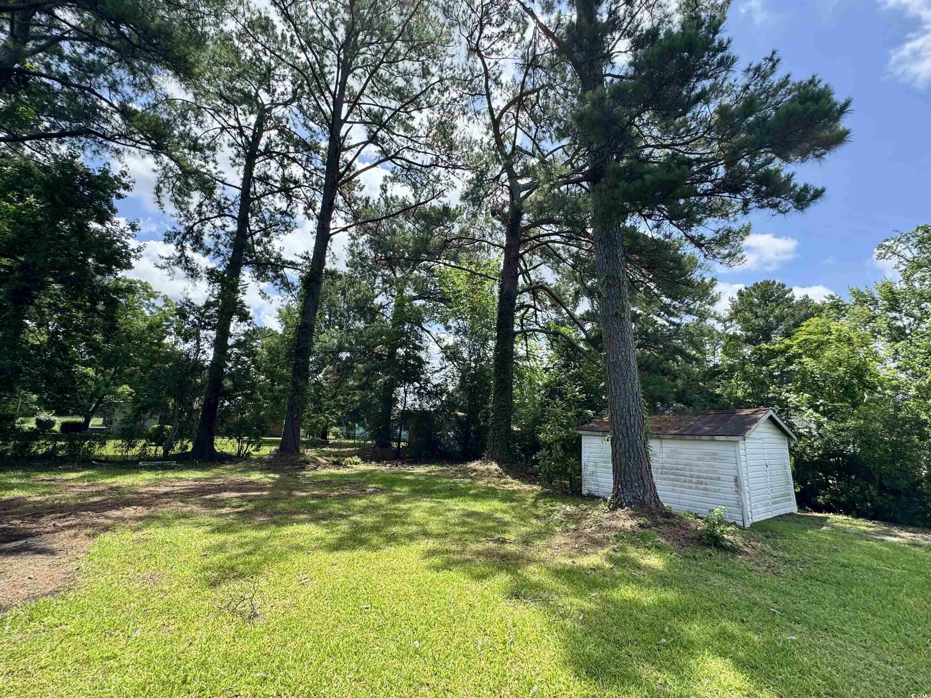 109 South Maple Avenue Andrews, SC 29510 - Photo 19 of 23