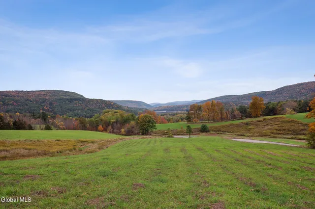 $499,000 | 171 West Kill Road, North Blenheim, NY 12131