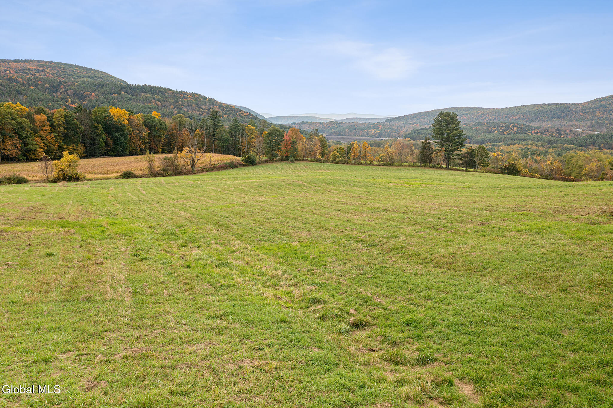 171 West Kill Road North Blenheim, NY 12131 - Photo 12 of 19 FS_LT_100725_0235