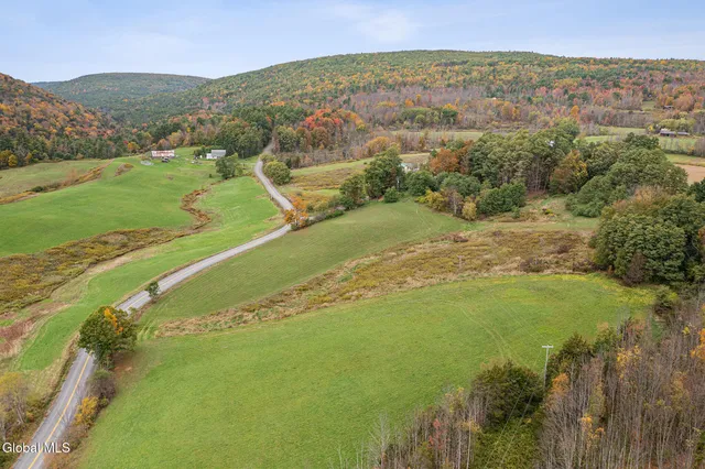 $499,000 | 171 West Kill Road, North Blenheim, NY 12131