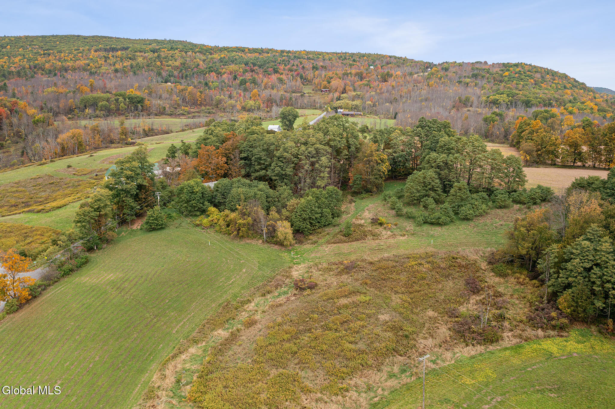 171 West Kill Road North Blenheim, NY 12131 - Photo 14 of 19 FS_LT_100725_0240