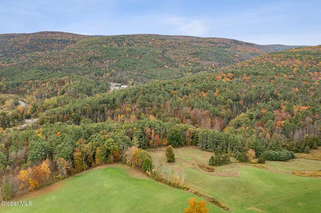 $499,000 | 171 West Kill Road, North Blenheim, NY 12131