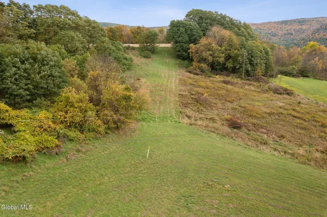 $499,000 | 171 West Kill Road, North Blenheim, NY 12131