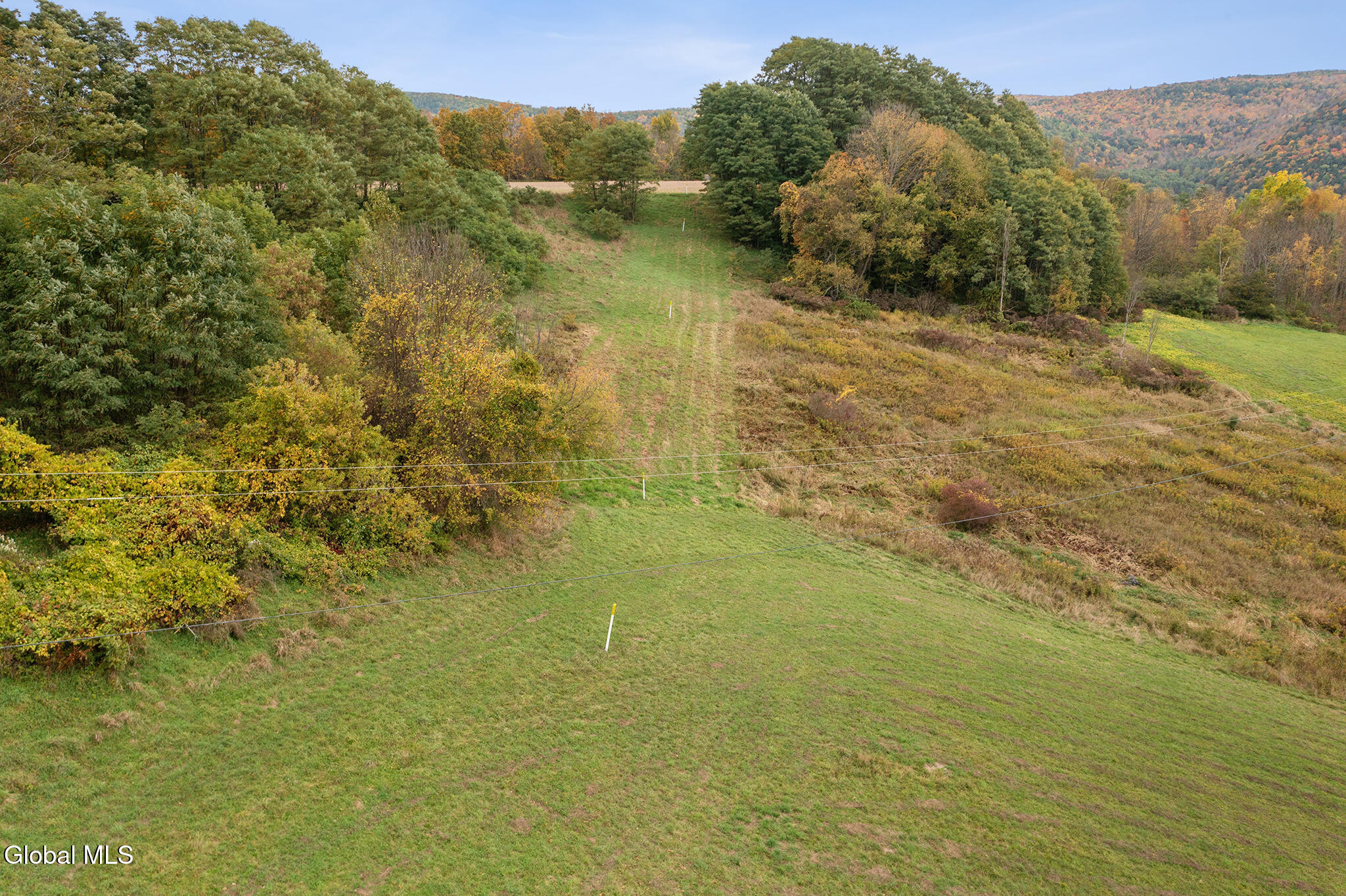 171 West Kill Road North Blenheim, NY 12131 - Photo 17 of 19 FS_LT_100725_0245