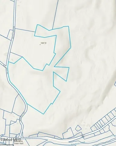 $499,000 | 171 West Kill Road, North Blenheim, NY 12131