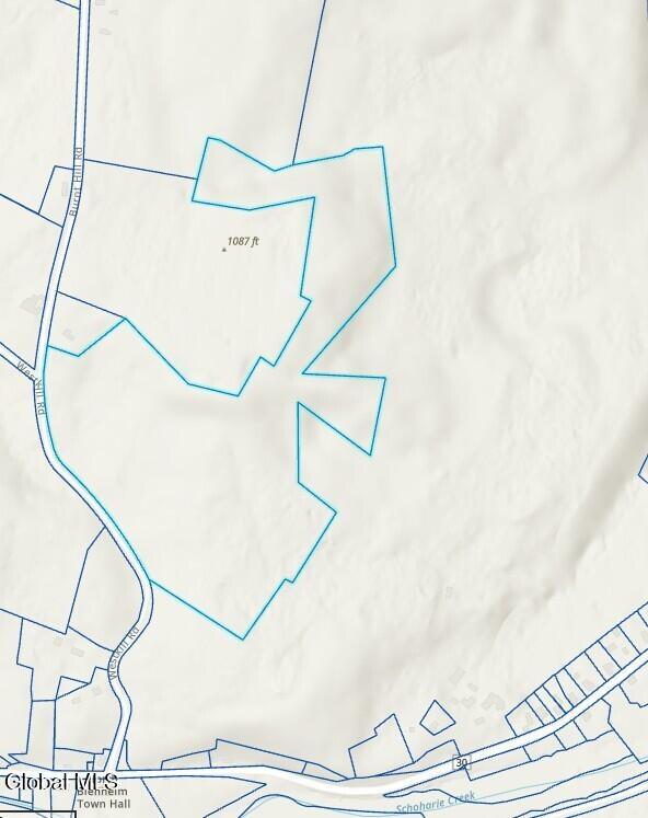 171 West Kill Road North Blenheim, NY 12131 - Photo 19 of 19 Screenshot 2025-10-22 153504