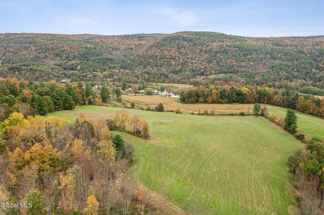 $499,000 | 171 West Kill Road, North Blenheim, NY 12131