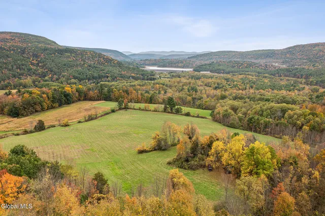 $499,000 | 171 West Kill Road, North Blenheim, NY 12131