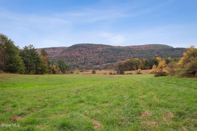 $499,000 | 171 West Kill Road, North Blenheim, NY 12131