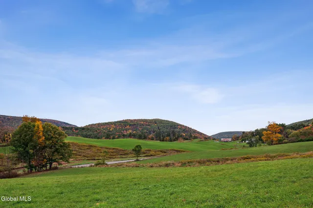 $499,000 | 171 West Kill Road, North Blenheim, NY 12131