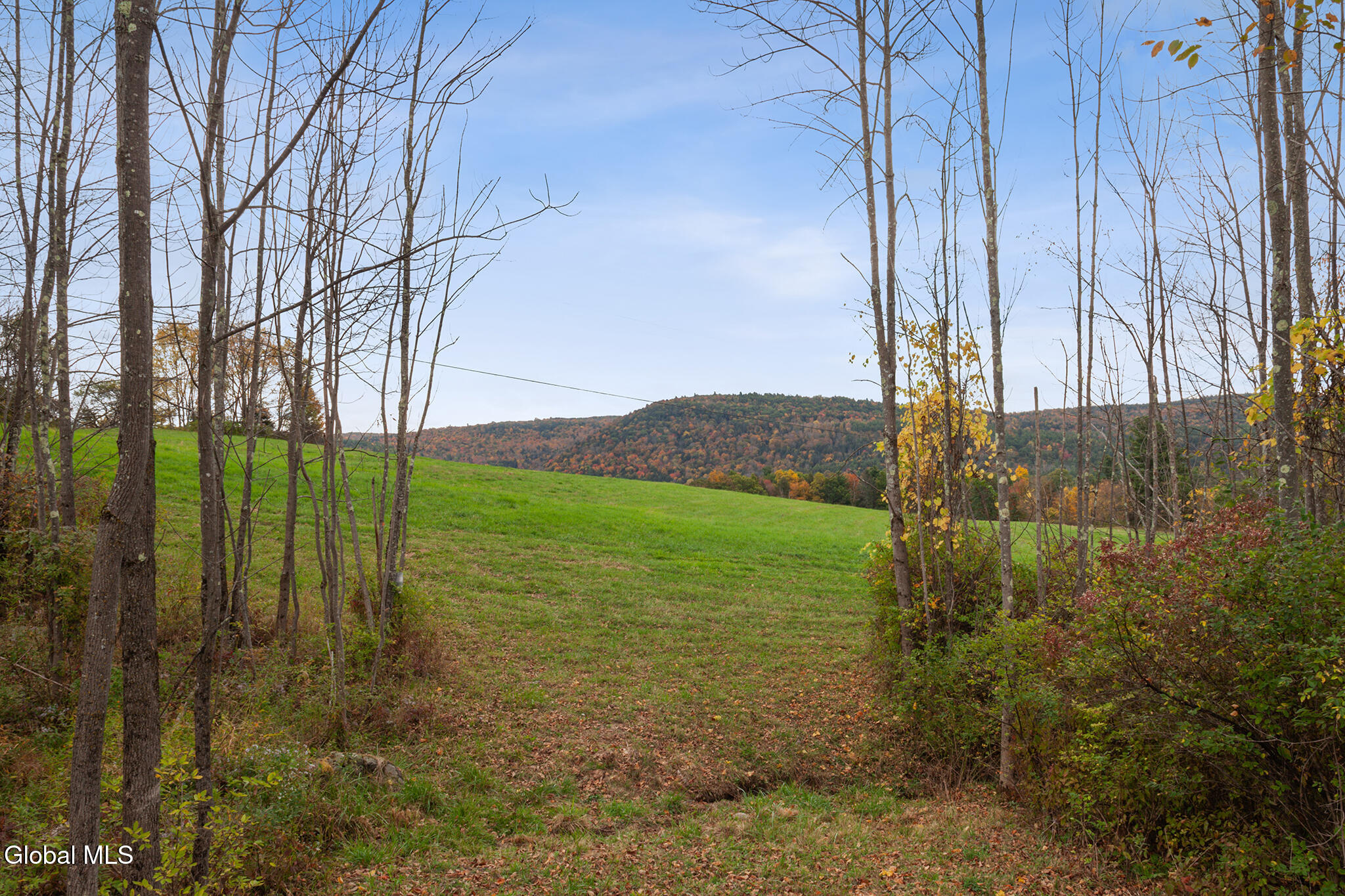 171 West Kill Road North Blenheim, NY 12131 - Photo 10 of 19 FS_LT_100725_0187