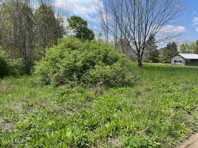 296 Evergreen Road Carlisle, NY 12043 - Photo 11 of 17 IMG_5347