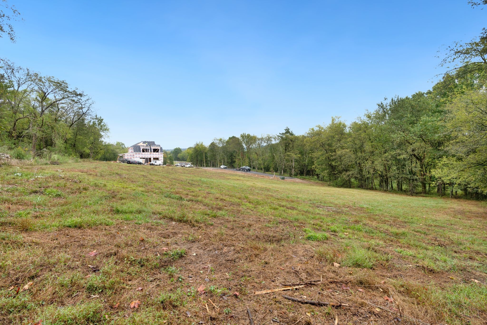 6853 Cross Keys Road College Grove, TN 37046 - Photo 42 of 74 a view of a field with trees in background